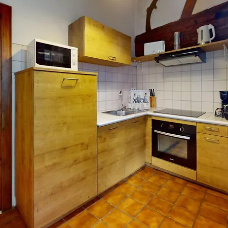 Zum Baeren Duplex - 1 Parking 公寓 *