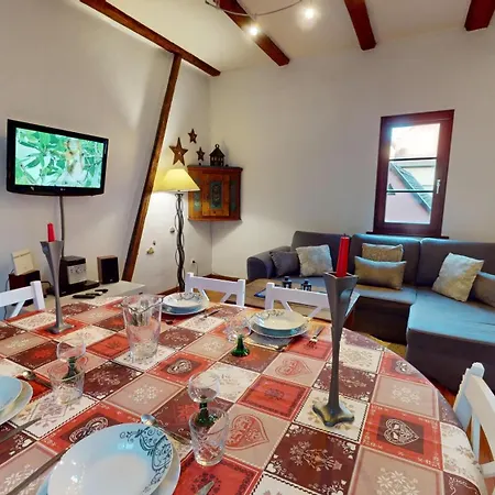 Zum Baeren Duplex - 1 Parking 公寓 科尔马